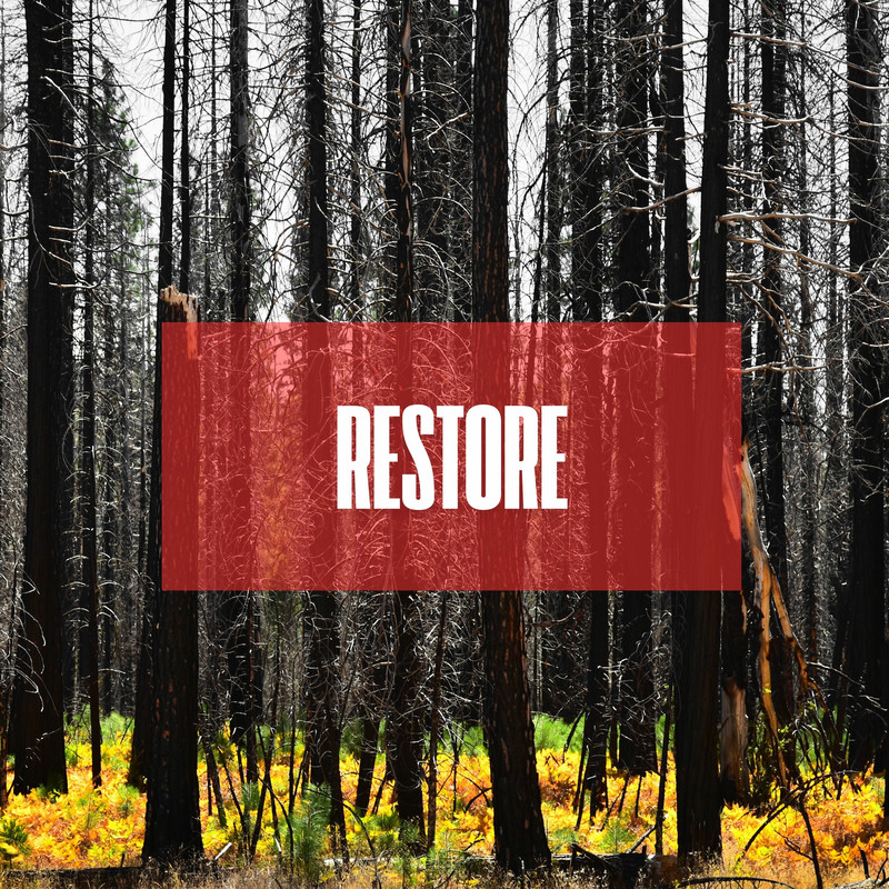 John Dahlb&auml;ck - RESTORE (Original Mix)