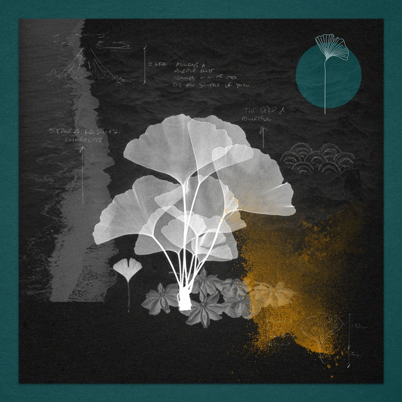 Safar (FR) - Eternal Roots (PAAX Tulum Extended Remix)