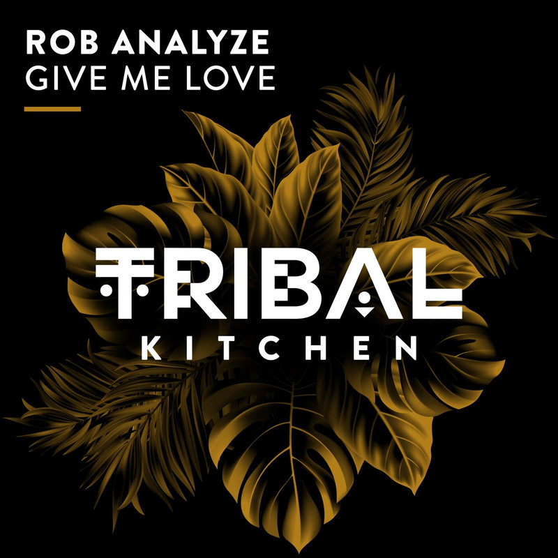 Rob Analyze - Give Me Love (Extended Mix)