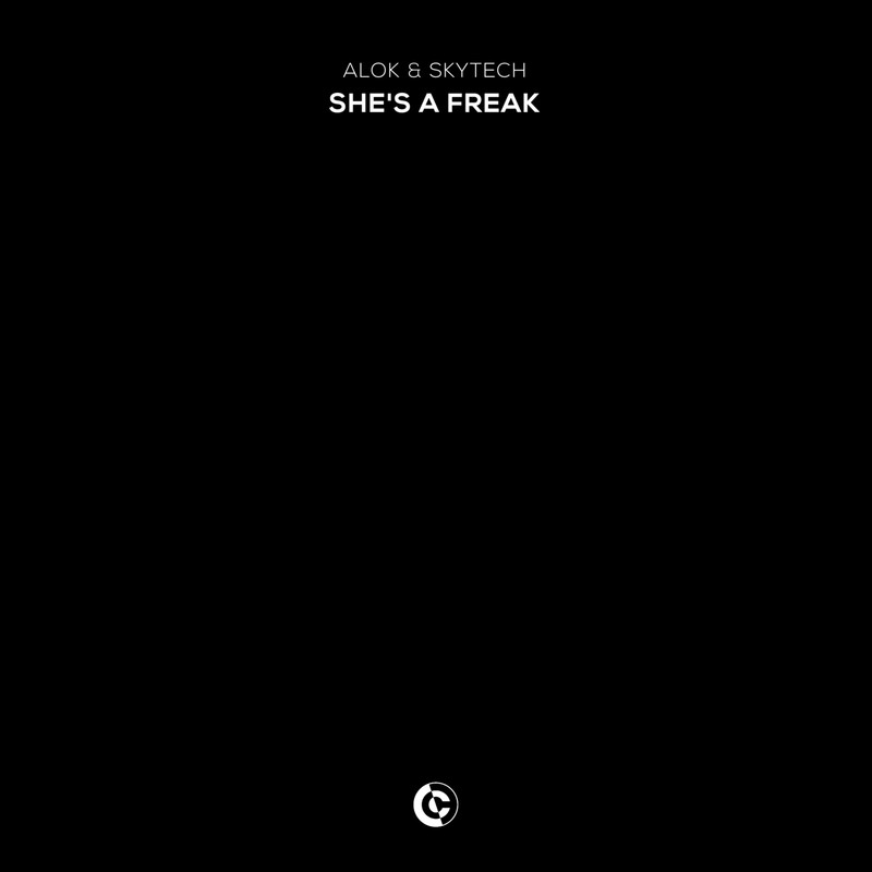 Skytech, Alok - She's A Freak (Extended Mix)
