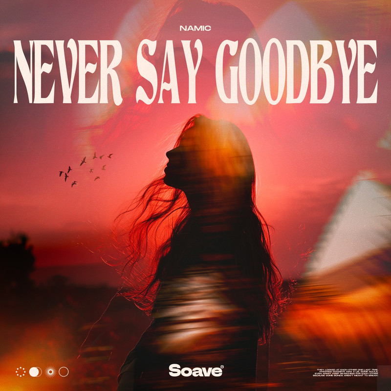 Namic - Never Say Goodbye (Original Mix)