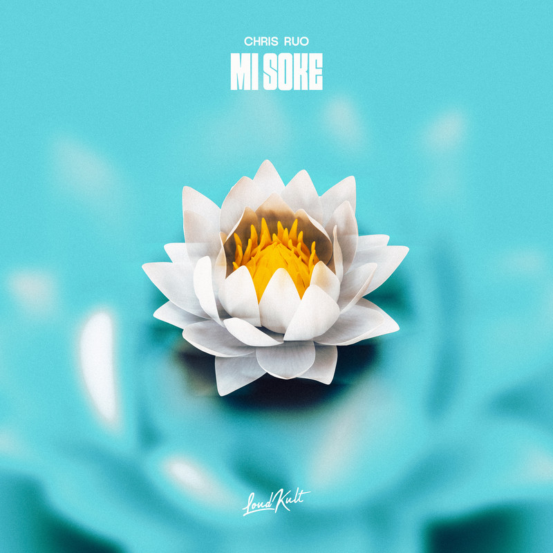 Chris Ruo - Mi Soke (Original Mix)