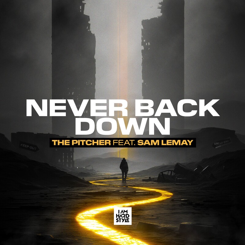 The Pitcher - Never Back Down (feat. Sam LeMay) (Original Mix)