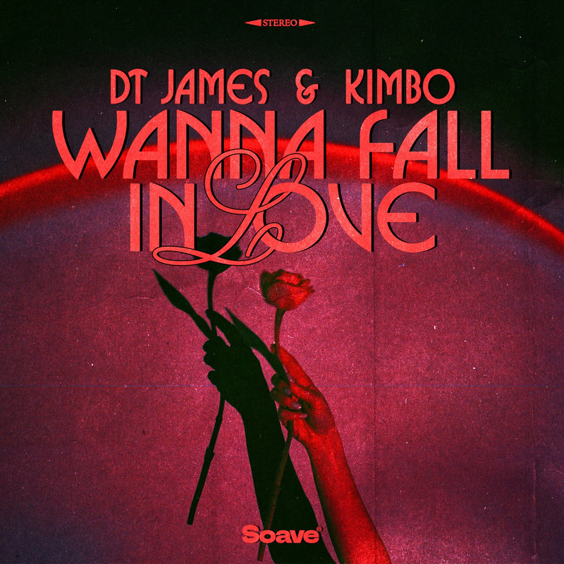 DT James & Kimbo - Wanna Fall In Love (Original Mix)