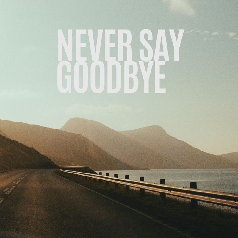 Manse - Never Say Goodbye (Original Mix)