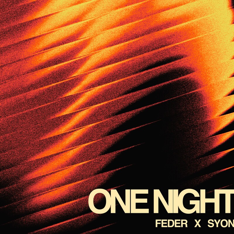 Feder & Syon - One Night (Original Mix)