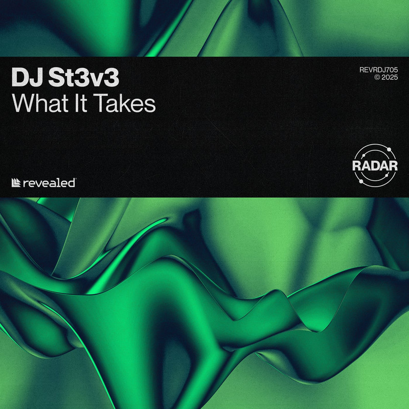 DJ St3v3 - What It Takes (Extended Mix)