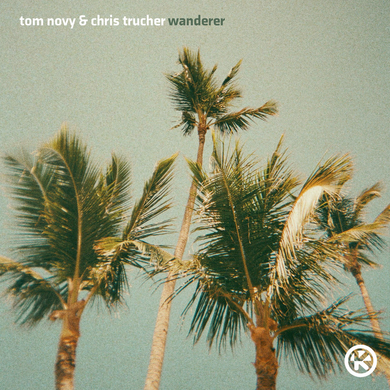 Tom Novy & Chris Trucher - Wanderer (Extended Mix)