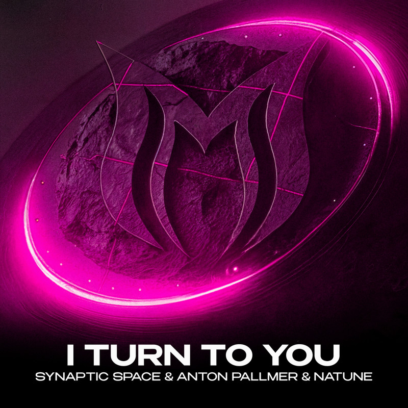 Synaptic Space, Anton Pallmer & Natune - I Turn to You (Extended Mix)