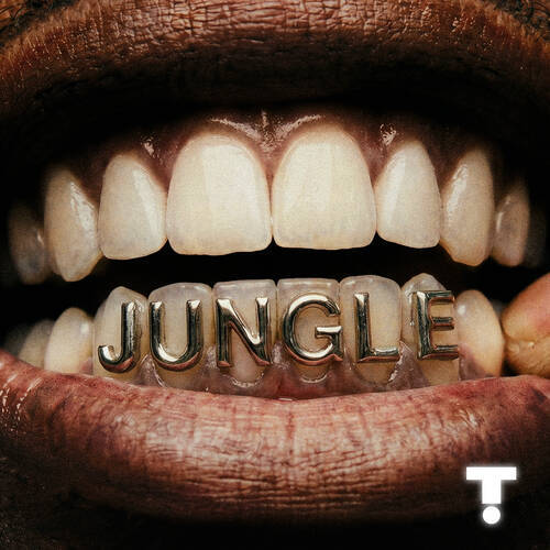TroyBoi & Shiwa - Jungle (Extended Mix)