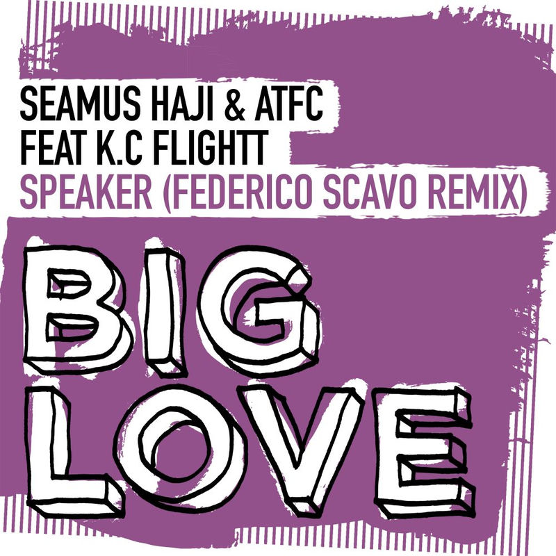 Seamus Haji & ATFC - Speaker (Federico Scavo Extended Remix)