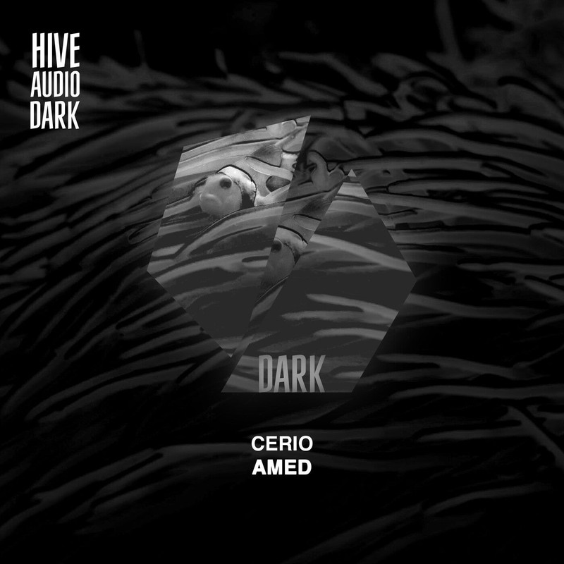Cerio - Amed (Extended Mix)