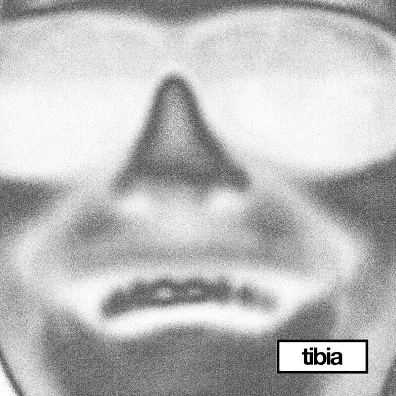 tibia - Molly in Mexico (Adrian Lux Remix)