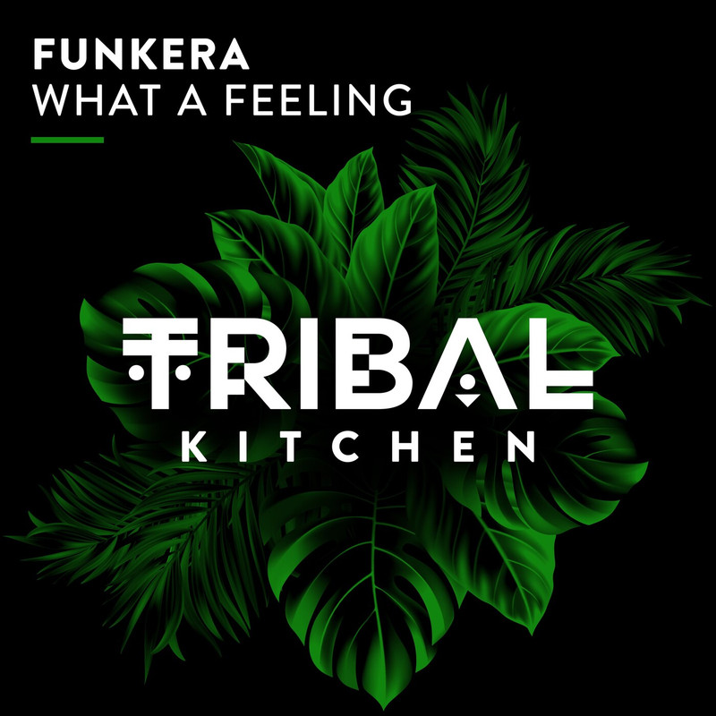Funkera - What a Feeling (Extended Mix)