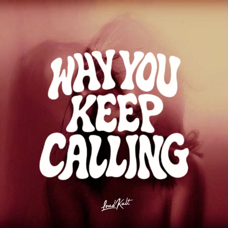 Boix & Breakloop, The Palm Tree Boy, Palm Monkey - WHY YOU KEEP CALLING (Original Mix)