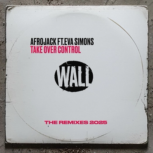 AFROJACK - Take Over Control (feat. Eva Simons) [Antoine Delvig x NLW Extended Remix]