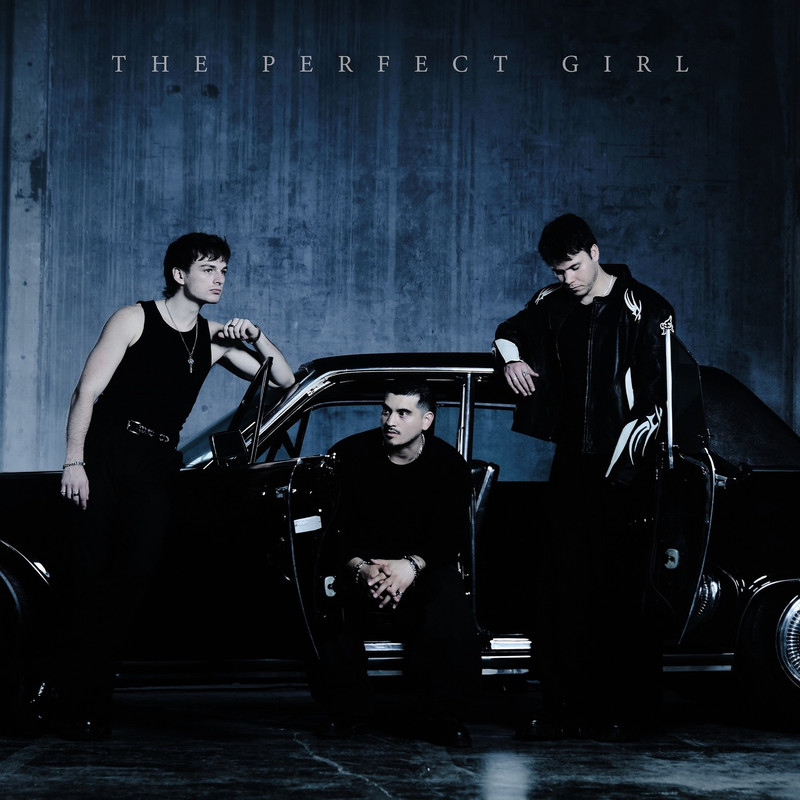 Ship Wrek & Void - The Perfect Girl (Extended Mix)