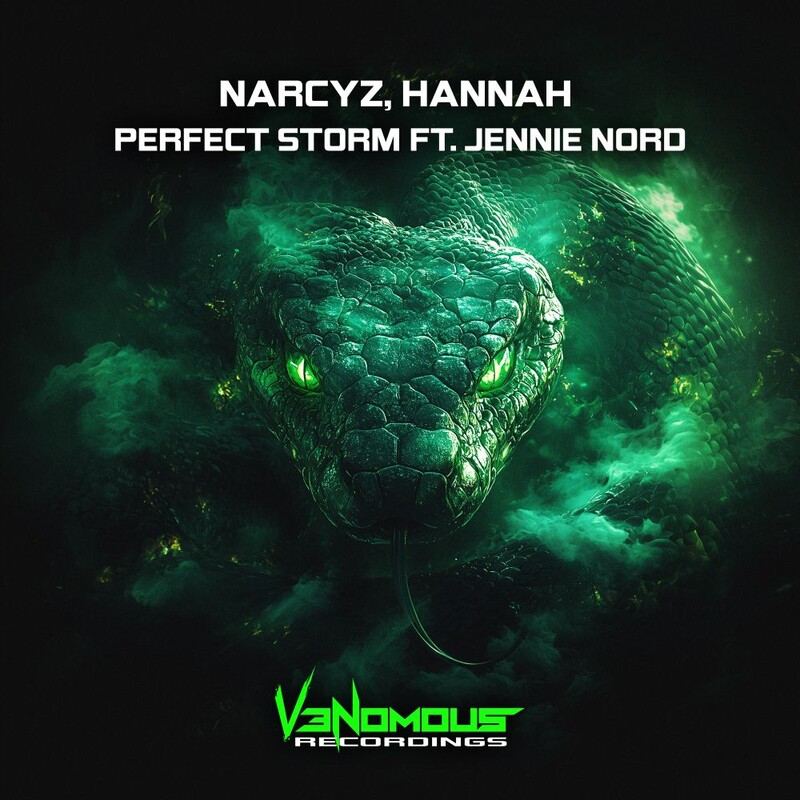Narcyz, Hannah & Jennie Nord - Perfect Storm (Original Mix)
