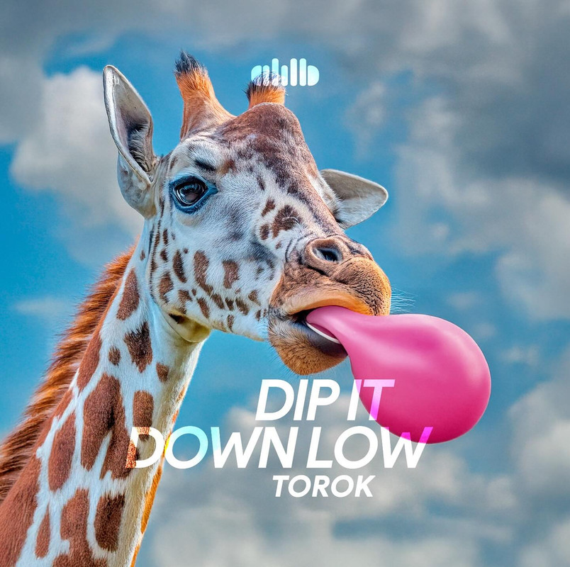 TOROK - Dip It Down Low (Exrended Mix)