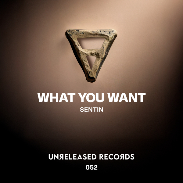 Sentin - What You Want (Extended Mix)