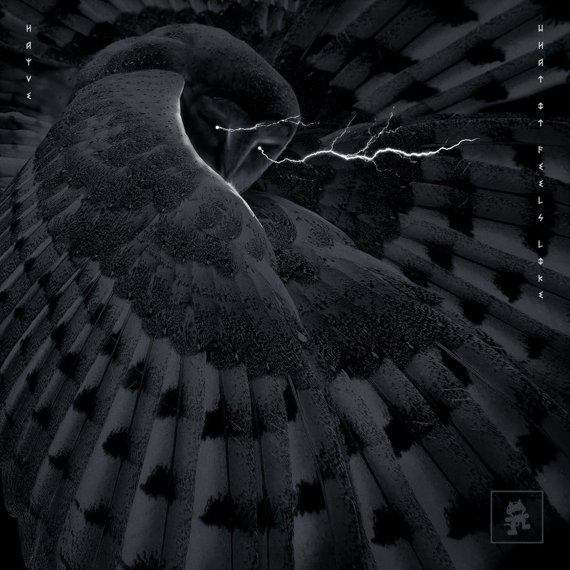 hayve - What It Feels Like (Original Mix)