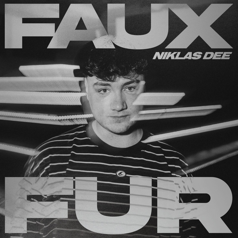 Niklas Dee - Faux Fur (like you like it) (Original Mix)
