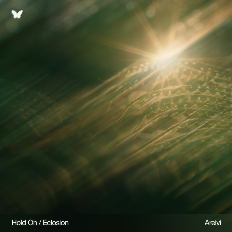 Areivi - Eclosion (Original Mix)