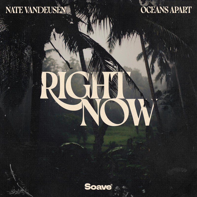 Nate VanDeusen & oceans apart - Right Now (Original Mix)