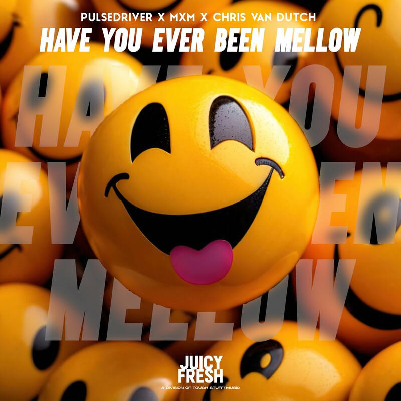 Pulsedriver, MXM & Chris van Dutch - Have You Ever Been Mellow (Original Mix)