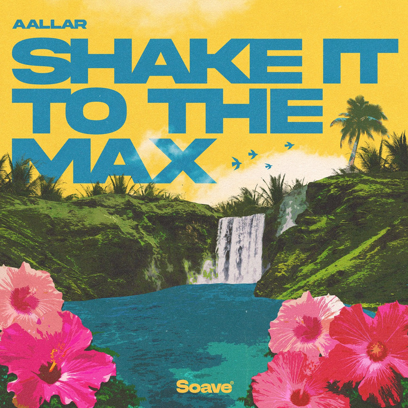 AALLAR - Shake It To The Max (FLY) (Original Mix)