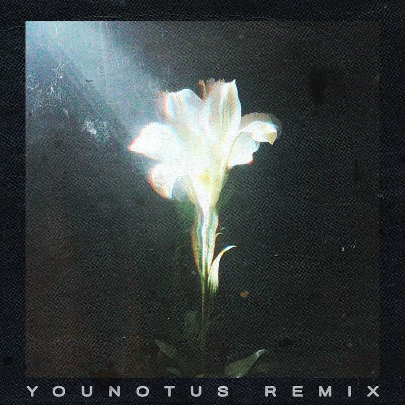 Netsky, Bebe Rexha - Light That Leads Me (YouNotUs Extended Remix)