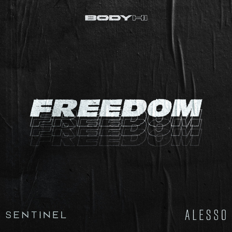 Sentinel & Alesso - Freedom (Extended Mix)