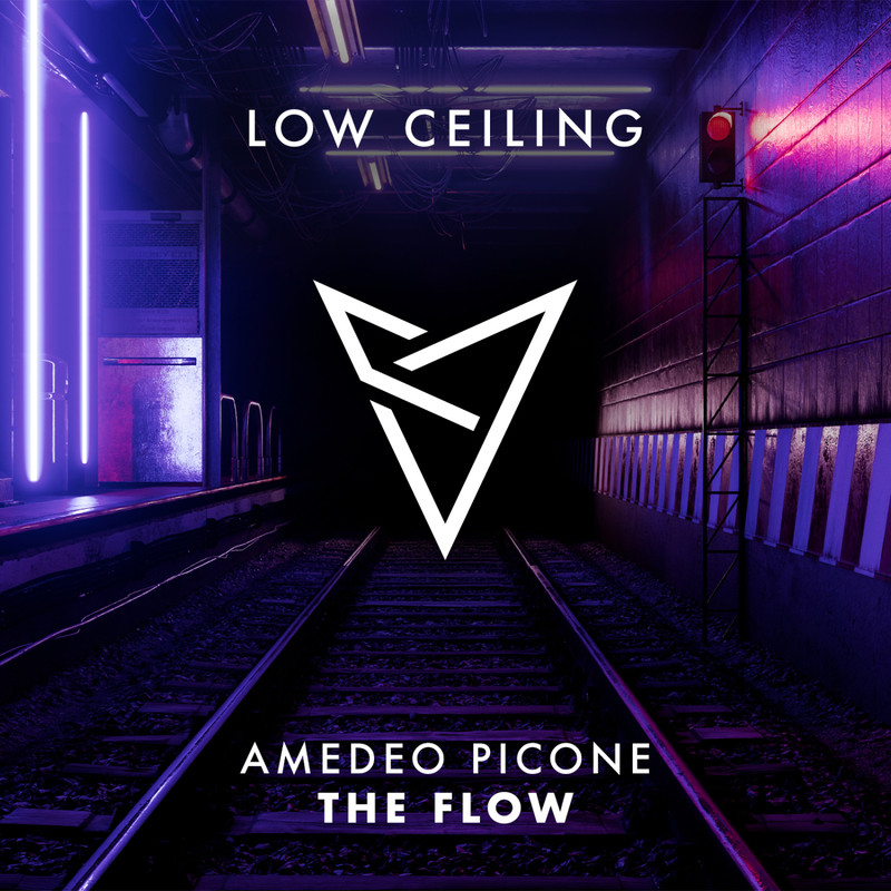 Amedeo Picone - THE FLOW (Extended Mix)