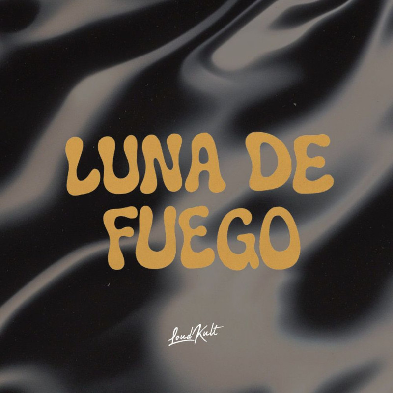 Palm Monkey - Luna De Fuego (Original Mix)