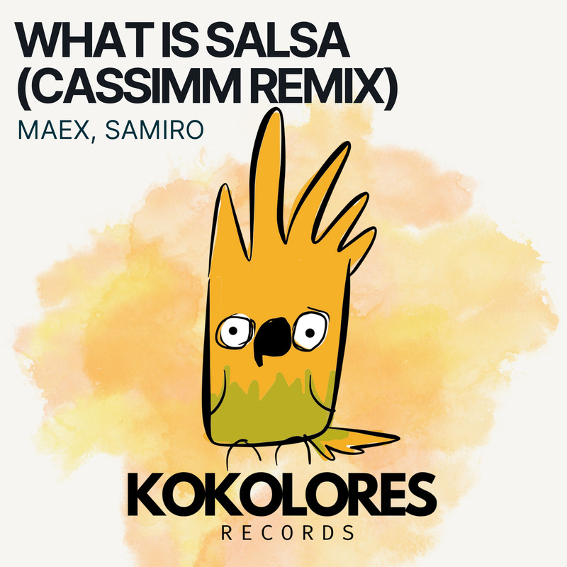 Maex, Samiro - What Is Salsa (CASSIMM Extended Remix)