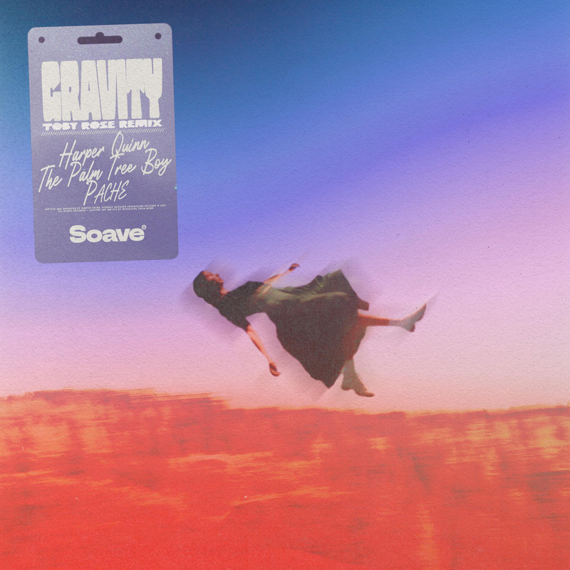 Toby Rose & Harper Quinn & The Palm Tree Boy & PACHE - Gravity (Toby Rose Remix)