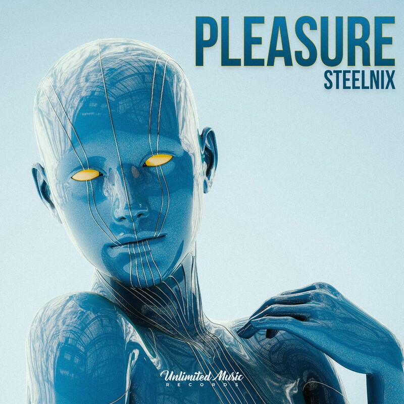 SteelniX - Pleasure (Original Mix)
