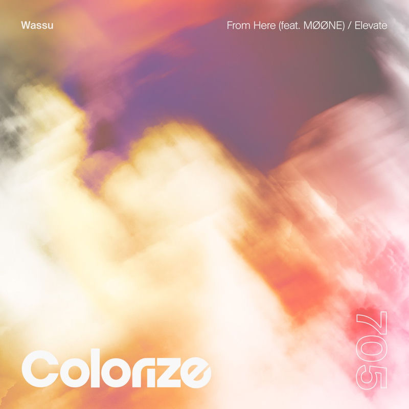 Wassu - From Here (feat. M&Oslash;&Oslash;NE) (Original Mix)
