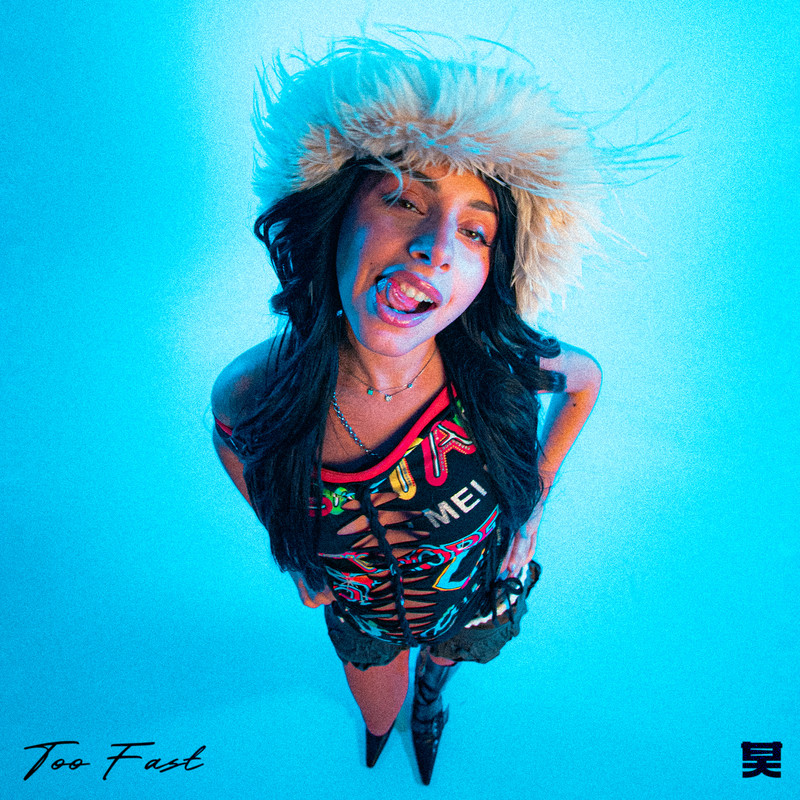 Emily Makis - Too Fast (Extended Mix)
