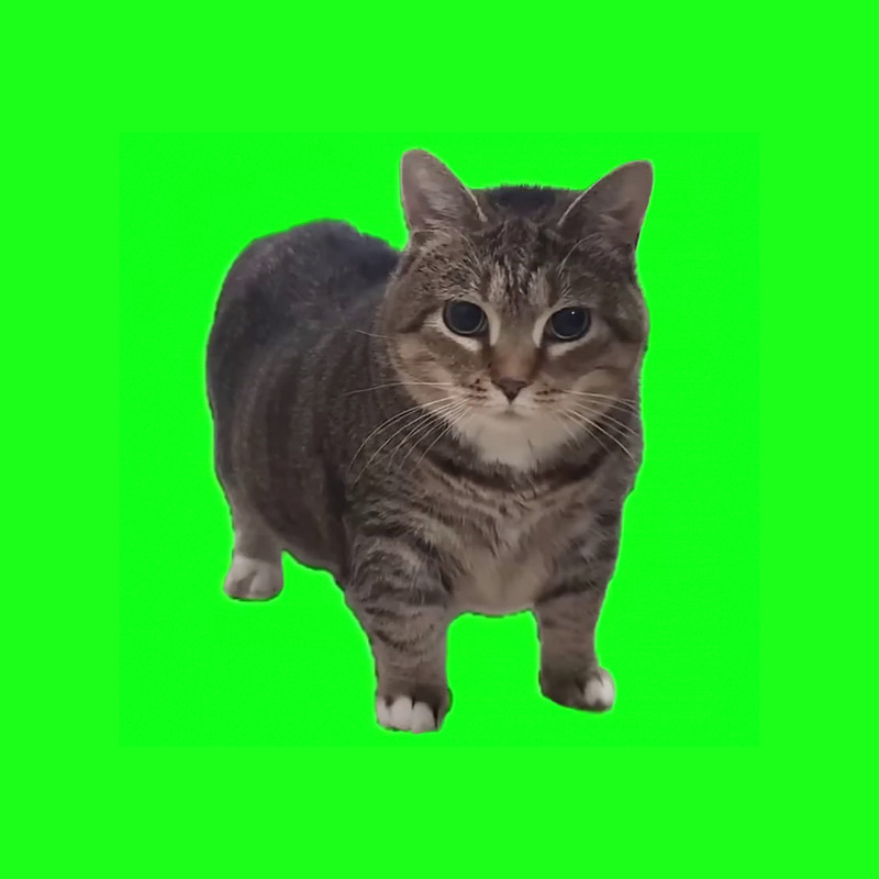 W&W - OIIA OIIA (Spinning Cat) [Extended Mix]