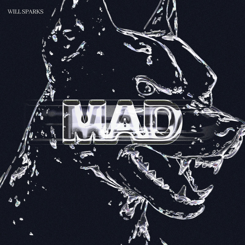 Will Sparks - Mad (Extended Mix)