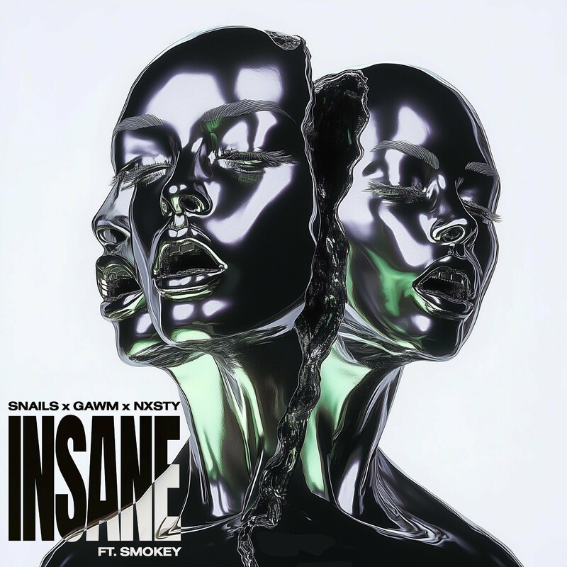 Snails, Gawm & NXSTY - Insane (feat. Smokey) (Original Mix)
