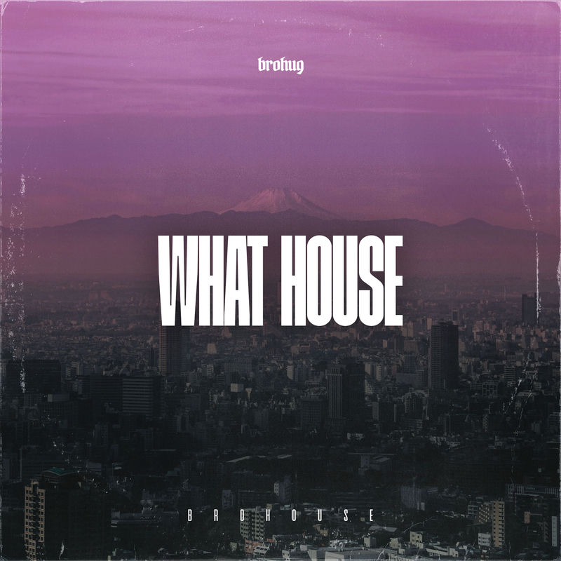 BROHUG - What House (Original Mix)