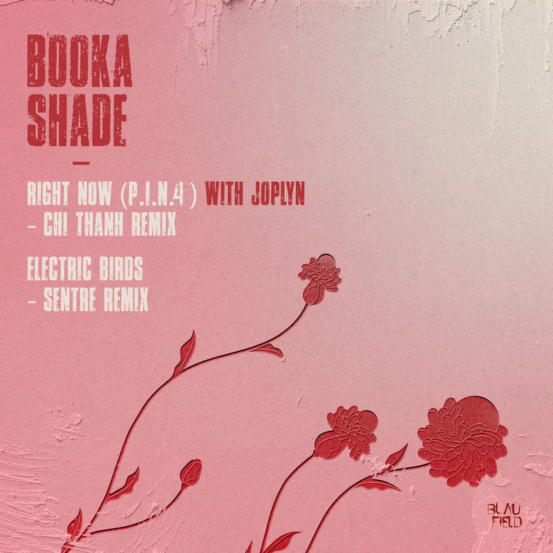 Booka Shade - Electric Birds (Sentre Extended Mix)