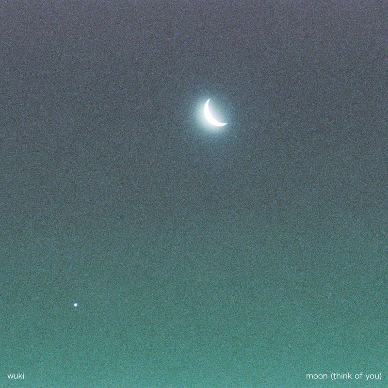Wuki - Moon (Think Of You) (Original Mix)