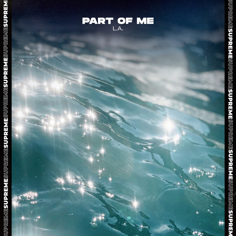 L.A - Part Of Me (Extended Mix)
