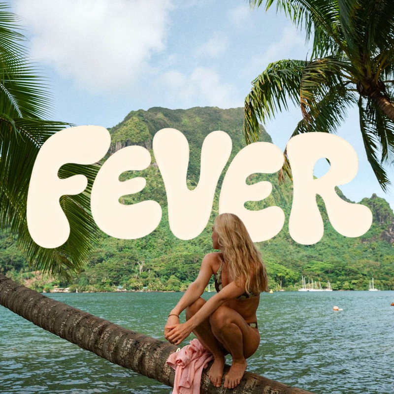 Palm Monkey, Heliograph - FEVER (Original Mix)