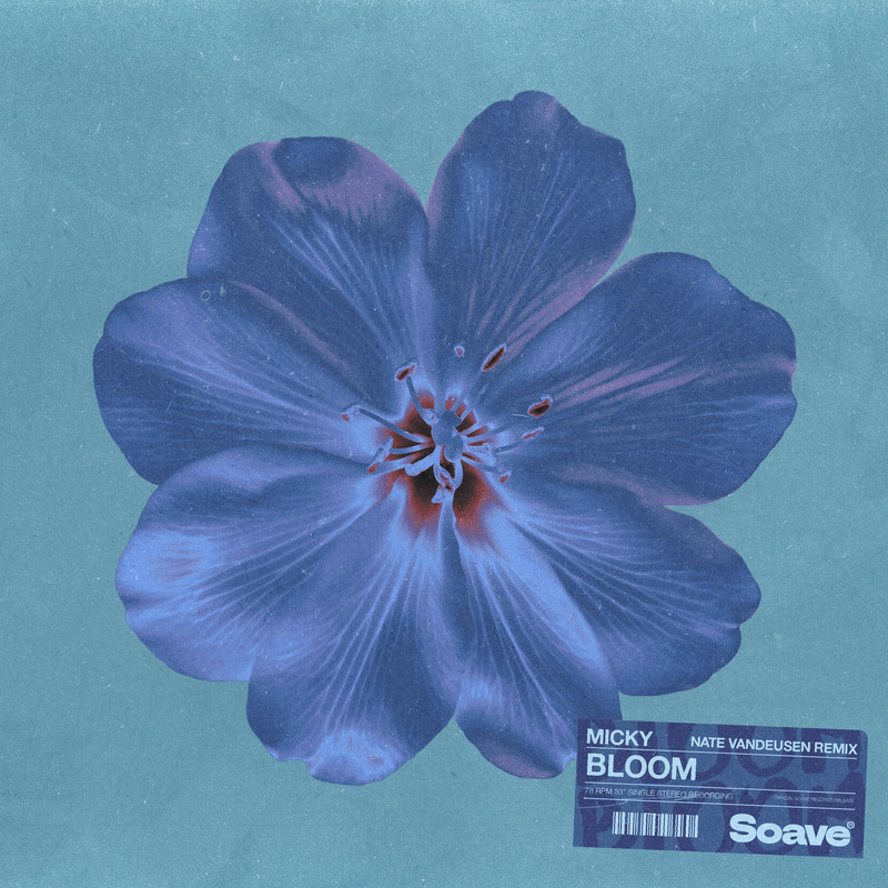 Micky & Nate VanDeusen - Bloom (Original Mix)