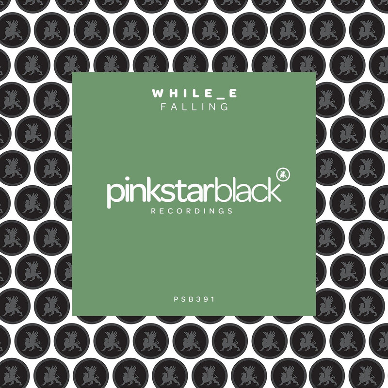 while e - Falling (Extended Mix)