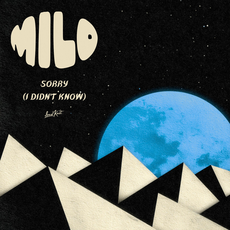 Milo - Sorry (I Didn't Know) (Original Mix)